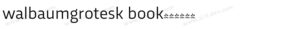 walbaumgrotesk book字体转换